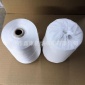 120D 3電腦人造絲繡花線 生產(chǎn)廠家加工 批發(fā)供應(yīng) 筒裝 白胚線